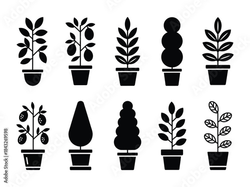 Silhouette potted plants and trees icon set representing decorative gardening design elements for home office and garden decoration