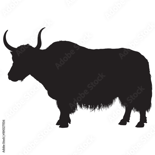 Black yak silhouette for wildlife design and logo element, isolated on white background