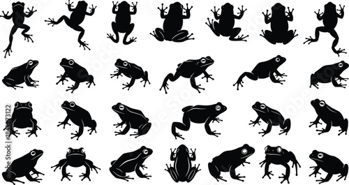 Collection of frog silhouettes in various natural poses including jumping, sitting, and climbing, ideal for wildlife illustrations, nature graphics, amphibian studies, and vector artwork.
