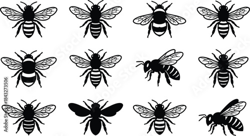 Silhouette collection of bees with detailed wings and body patterns, perfect for nature design, insect illustrations, entomology graphics, and creative vector artwork.