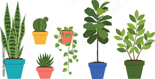 Variety of potted houseplants including snake plants cacti and fiddle leaf figs on transparent background