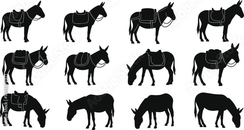 Silhouettes of donkeys with saddles in various standing and grazing poses, illustrating working animals, rural transportation, farm life, and livestock graphics.