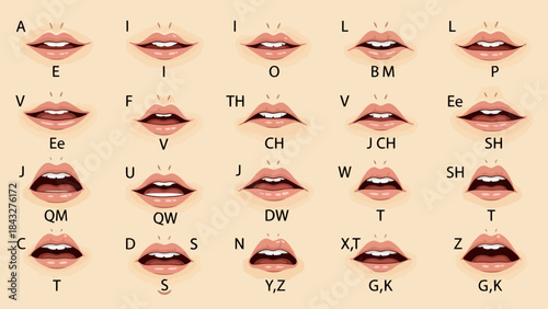 Vector Illustration of Human Mouth Animation Phonemes