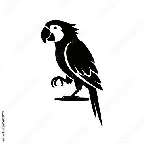 vector illustration of a parrot