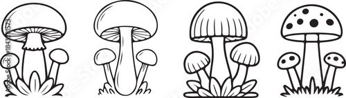 Mushroom Line Art Illustration. Mushroom Illustration Fungi Organic Autumn Vegetarian Food.