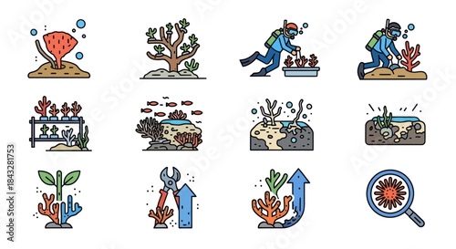 Colorful Coral Reef Conservation and Restoration Icons Set.