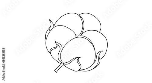 A simple black and white line art illustration of a soft cotton flower boll, representing natural fabric, purity, and sustainable agriculture.