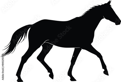 Elegant horse silhouette in a walking pose perfect for design projects on transparent background