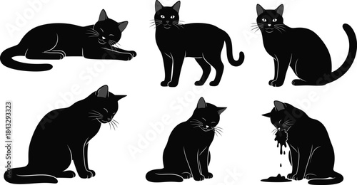 Collection of sleek black cats in various poses perfect for design work on transparent background