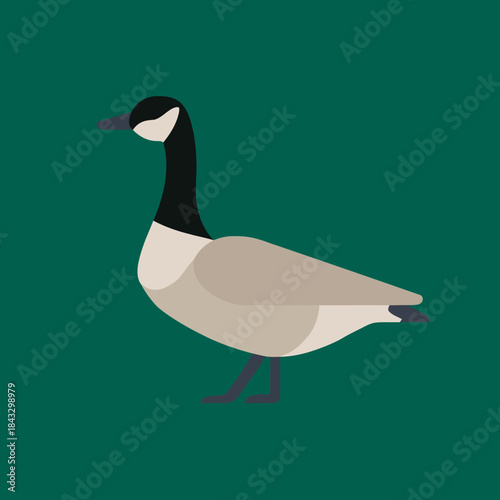 Stylized illustration of a goose in profile against a dark green background