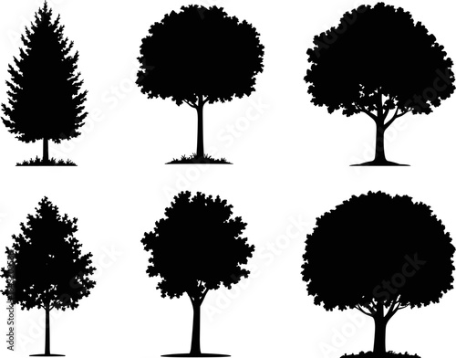 Vector Silhouettes of Diverse Trees: Collection of Conifers, Deciduous, and Broadleaf Species for Nature, Ecology, and Outdoor Landscaping Graphics.