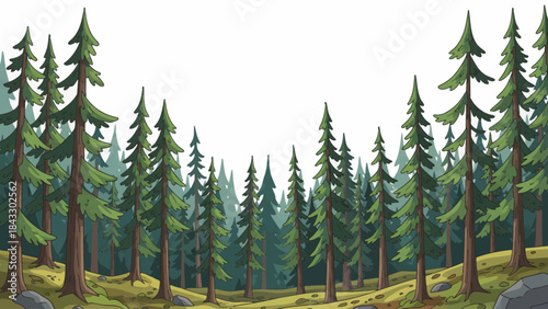 boreal forest dominated by tall conifer trees, cold climate conditions, layered pine silhouettes, and quiet natural scenery stretching across northern landscapes, white isolated sky