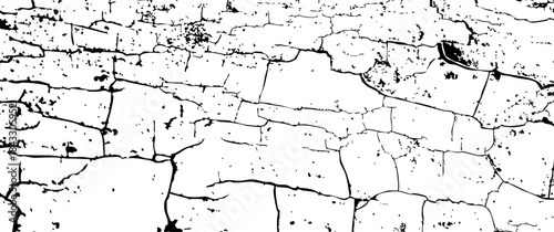 High contrast black and white texture of cracked, weathered wood surface with peeling layers and rough grain, ideal for backgrounds, overlays, and grunge design elements.