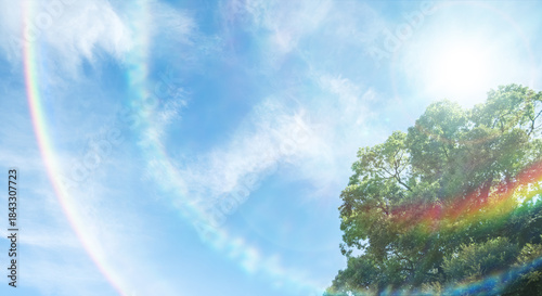 春、初夏、夏の晴天の森の木とさわやかな新緑の葉に太陽の強い日差しと木漏れ日　レンズフレアと七色のゴースト　夏休み・ゴールデンウィーク・観光・旅行・アウトドア・洗濯のイメージ背景