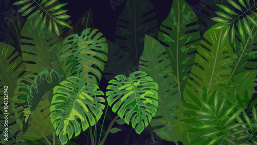 fern leaf in the forest, night vision