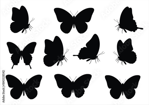 silhouette of a collection of nine black butterfly