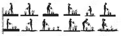 Silhouettes of people watering potted plants person