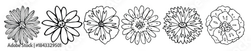 Simple flower clipart. Set of hand drawn floral doodle. For print, web, design, decor, logo