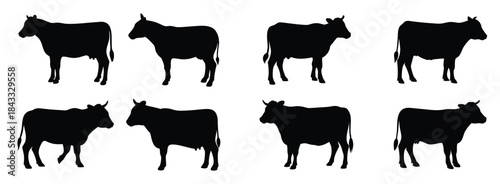 Cow silhouette vector set illustration