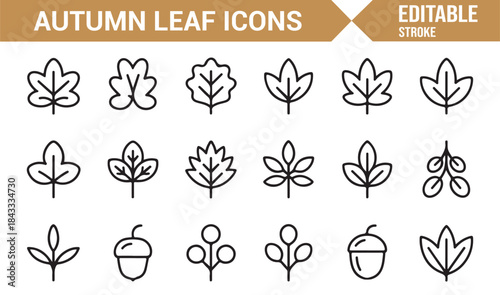 Fall foliage botanical icons in modern linear style