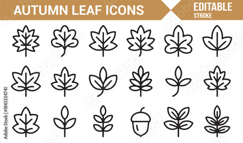 Fall foliage botanical icons in modern linear style
