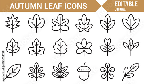 Nature fall foliage and plant linear vector icons