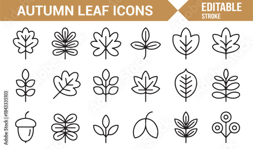 Fall leaves and acorn outline icons for seasonal design