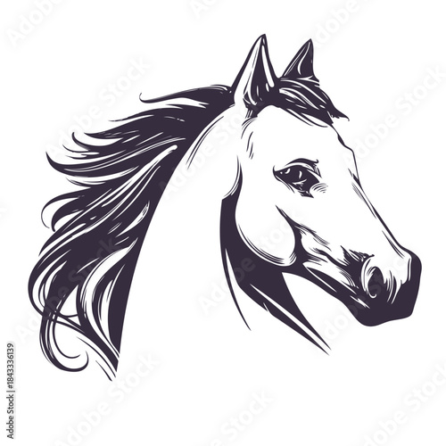 horse, horse head logo, hand drawn vector illustration realistic sketch