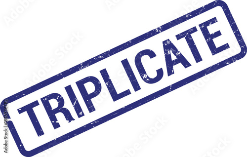 Distressed blue ink rectangular stamp impression featuring the word TRIPLICATE diagonally