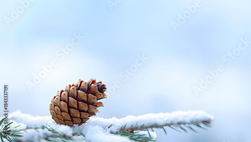 Pinecone on snowy branch in winter landscape copy space