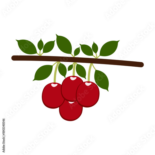 Vector multi color icons for Cherry