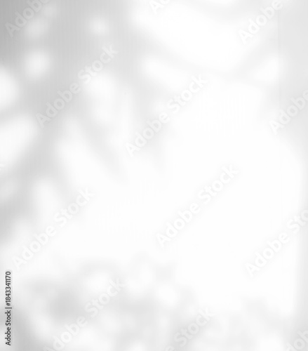Background shadow white light wall floor backdrop overlay leaf mockup summer sunight overlay nature on room cement abstract blur muckup effect grey minimal platform for presentation product