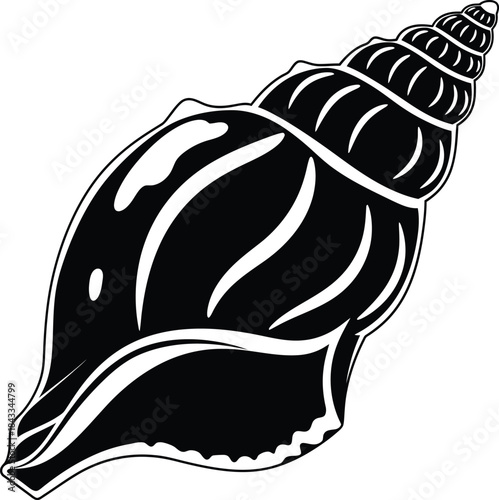 Sea Shell Marine Nature Vector Illustration