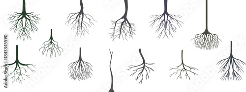 Seamless pattern of stylized tree root silhouettes in black and gray, creating an elegant, organic background for nature-themed designs.