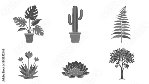 Grayscale Botanical Vector Illustrations Set Diverse Plants Flowers and Trees for Nature Inspired Design Projects