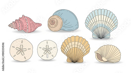 Seashells and Starfish Illustrations on White Background