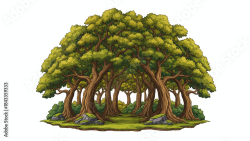 oak forest with wide canopies, strong branching structures, layered leaves, and a classic European style woodland environment rich in natural character, on white isolated sky