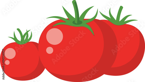 A vibrant still life illustration featuring three ripe red tomatoes with green stems