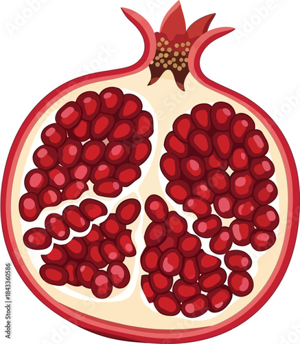 A vibrant illustration of a halved pomegranate revealing its juicy ruby red seeds inside