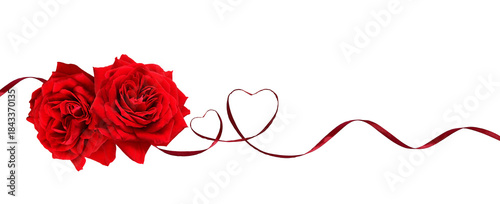 Red rose flowers in a line arrangement with satin ribbon hearts isolated on white or transparent background for Valentine Day.