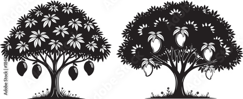Two stylized cocoa trees with pods silhouette