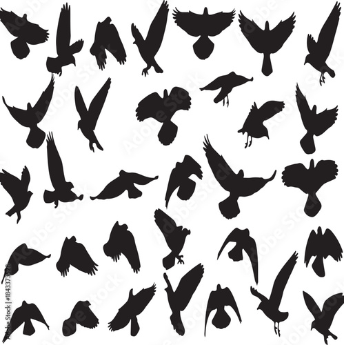 Dynamic collection of various flying bird silhouettes showcasing diverse flight poses and graceful avian movement for design projects
