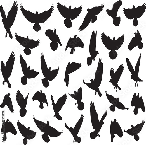Numerous graceful black bird silhouettes captured in diverse flight poses creating a beautiful avian pattern element