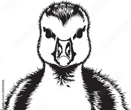 Baby penguin head vector illustration isolated on transparent background cute bird graphic