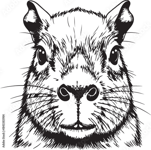 Black and white capybara portrait on transparent background vector illustration