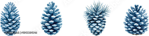 Watercolor Pine Cone Set, Christmas Blue Scandinavian illustration for design card and print. Isolated on white. 
