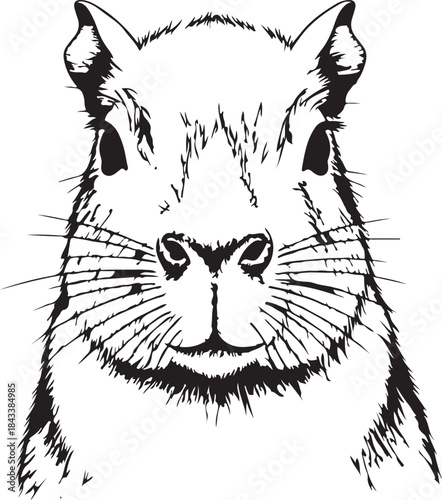 Black and white portrait of a capybara on transparent background vector illustration