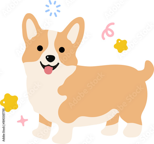 Cute corgi