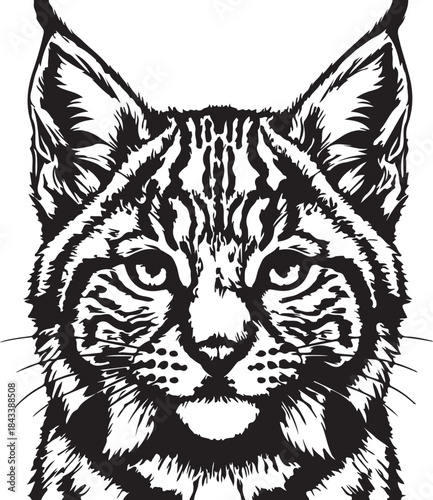 Detailed black and white portrait of bobcat head on transparent background