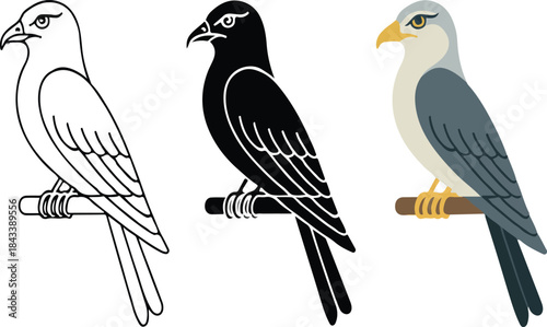 Stylized falcon or hawk bird vector illustration set featuring outline silhouette and flat color graphic design elements